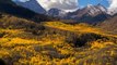 Golden Treetops in Colorado Captured in Stunning Drone Video