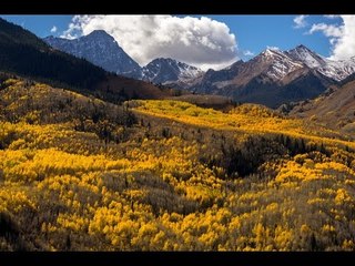 Download Video: Golden Treetops in Colorado Captured in Stunning Drone Video