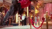 [FMV]:William Chan Wai Ting&Zhao Li Ying "My Heart ..Will Go On"