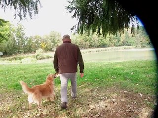 tolling et marking a l'eau certificat tolling