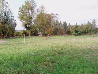 epreuve 1 et 2 certificat de travail de tolling