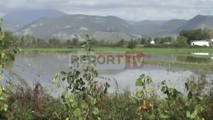 Report TV -  Kurbin, 100 ha tokë nën ujë.