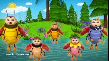 Rabbit and Bugs Finger Family Rhymes   Animals Finger Family song   Nursery Rhymes & Songs