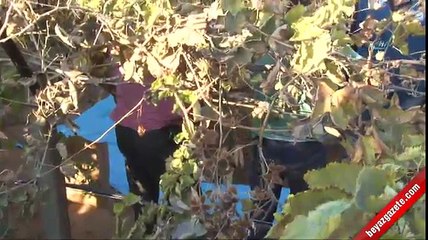 Minik Irmak'ın cesedi bulundu