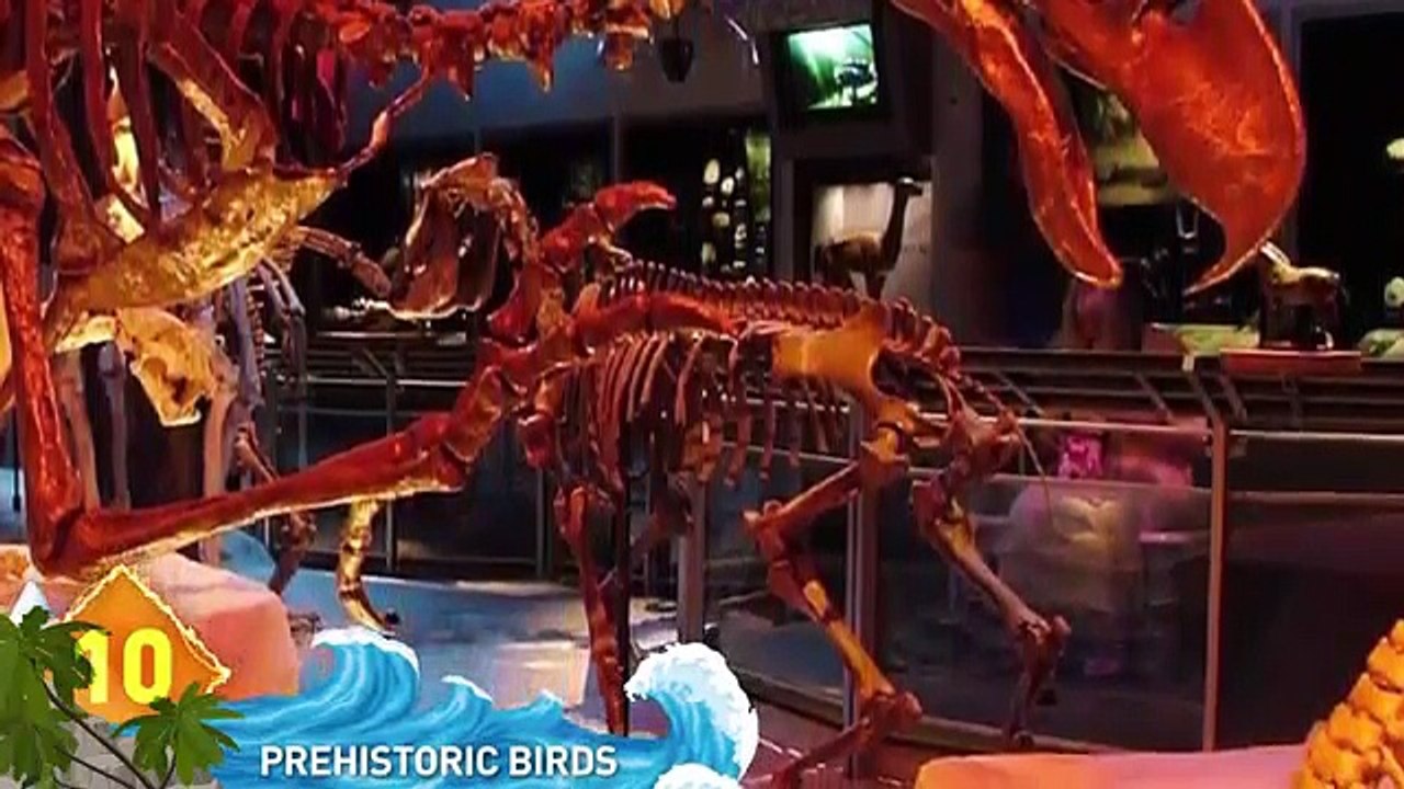 8 - Most DANGEROUS Birds