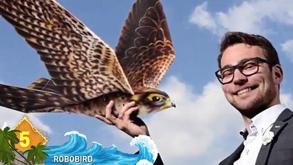 10 - Most DANGEROUS Birds