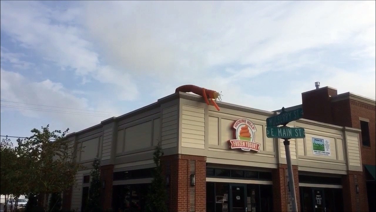 Cette mascotte passe du bon temps sur le toit du magasin LOL