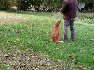 marking comme certificat du travail du tolling test 3