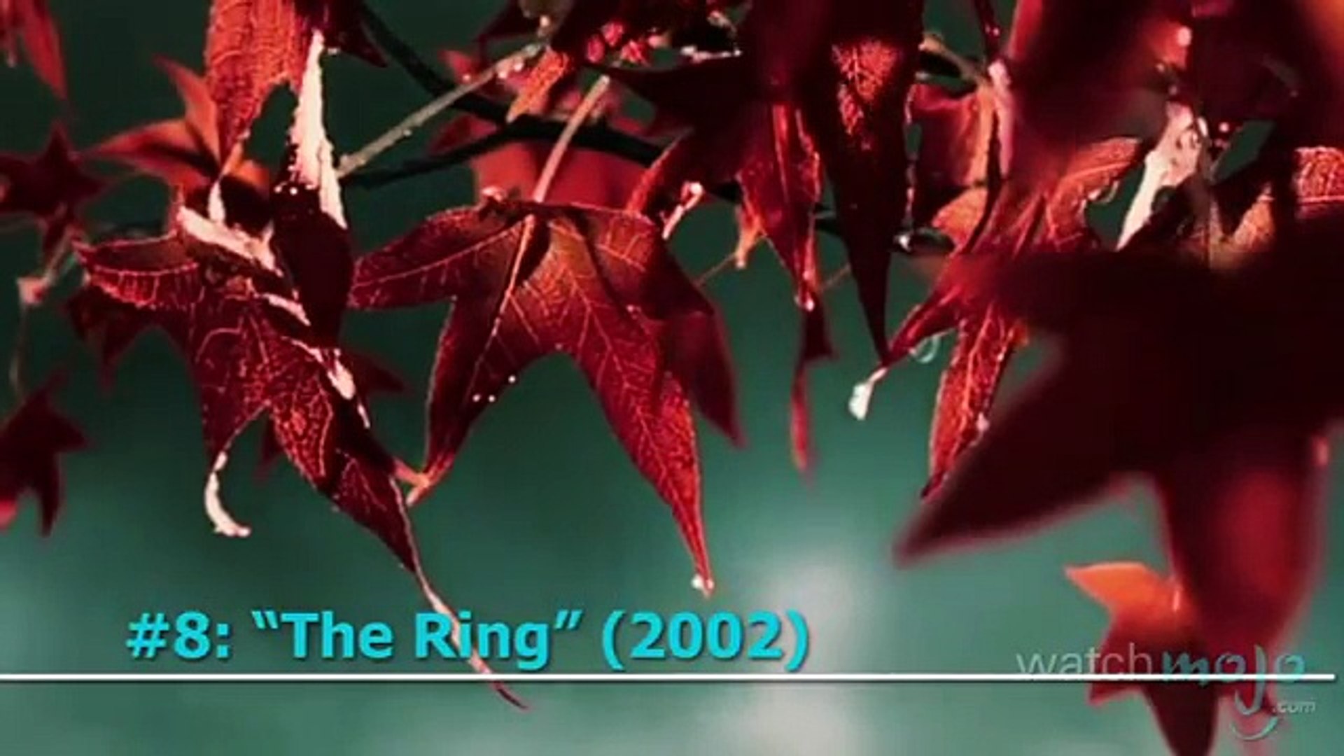 ⁣Top 10 Horror Movies: 2000s