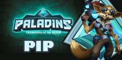 Vídeo Guía, Paladins - PIP