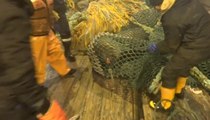 Fishermen Found Something Unexpected In Their Fishing Net