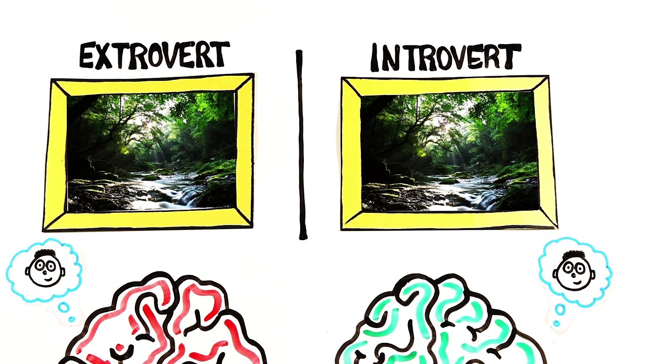 Introverts vs Extroverts