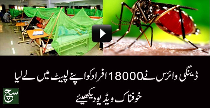 The 18000 identification of dengue patients this year