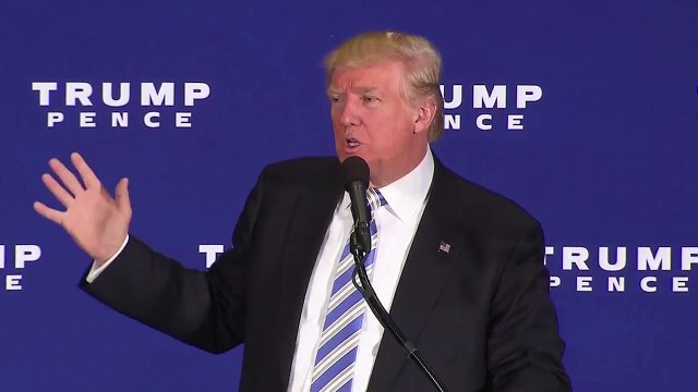 Trump lays out his vision for first 100 days in office