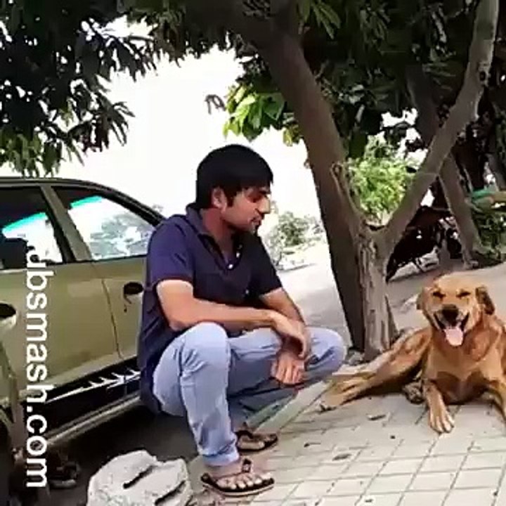 hahahhahaa "Kutte Ka Pilla Kutta Hota He"#Funny #DUBSMASH  #Comedy