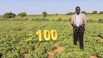 الاقتصاد والناس- تحديات الزراعة في جنوب السودان