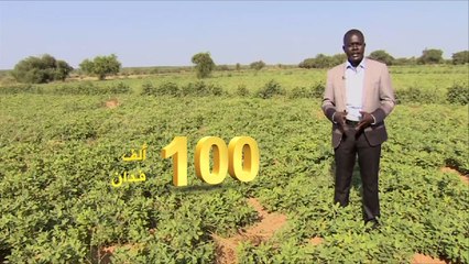 Download Video: الاقتصاد والناس- تحديات الزراعة في جنوب السودان