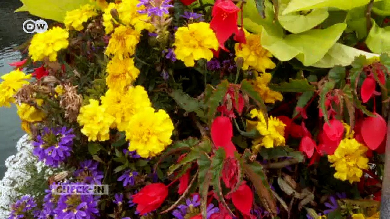 Tübingen - Fachwerk und Studenten | Check-in