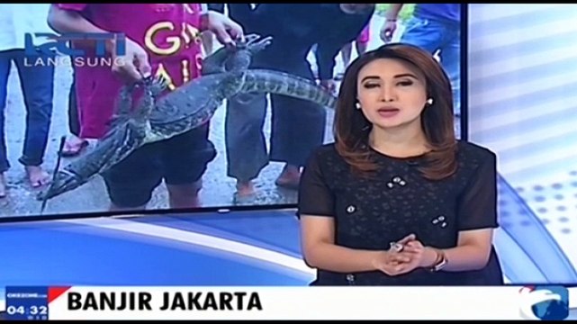 Waspada Datangnya Musim Hujan Sejumlah Biawak Muncul di Jakarta