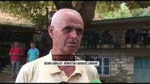 Libohovë, sëmundja vret rrapët - Top Channel Albania - News - Lajme