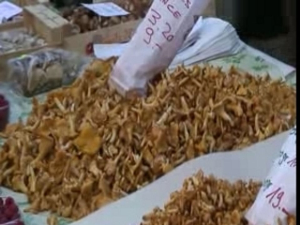 Les champignons au marche de Morges