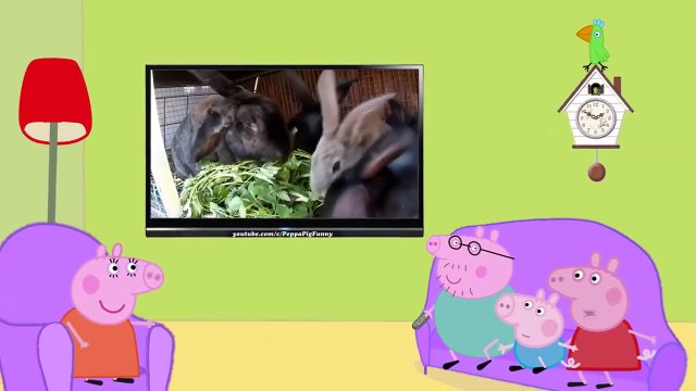 Свинка Пеппа: Домашние питомцы. Мультфильм Свинка Пеппа новые серии | Peppa Pig
