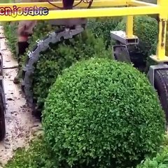 Street Grass Cutting Machine Are Invent