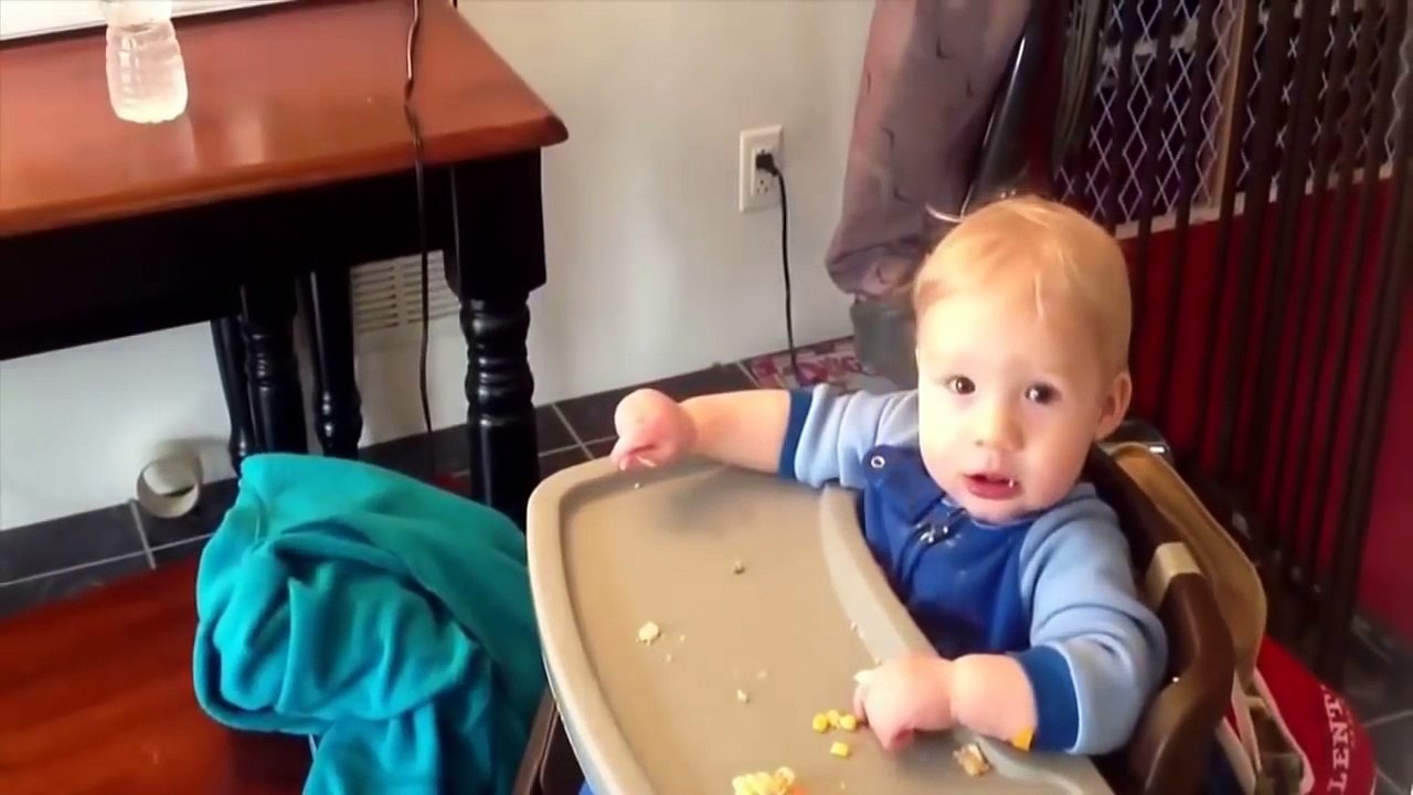 Funny Cat VS Baby in the world Compilation #2 - Mkls