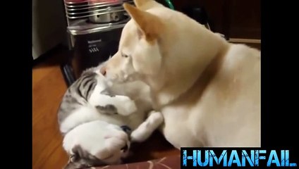 chad hatten chad hatten chad hatten chad hatten chad hatten chad hatten chad hatten chad hatten  SHADOW CREW