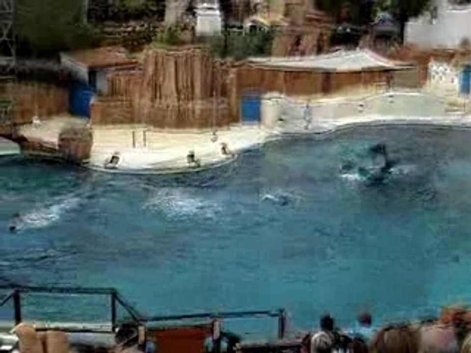 Les Dauphins du Parc Asterix