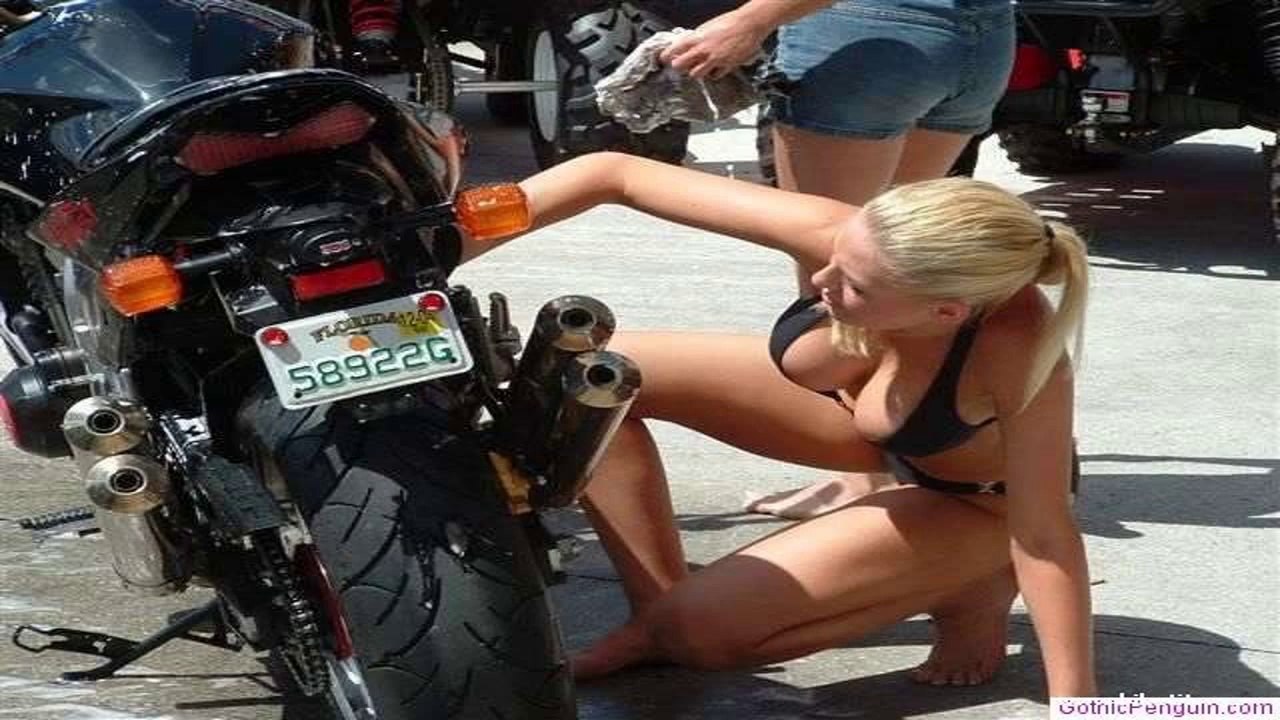 Best funny animal videos compilation 2014- Funny videos animels 2014 HOT HOT