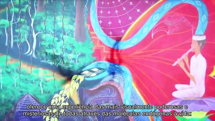 A Experiência Psicodélica