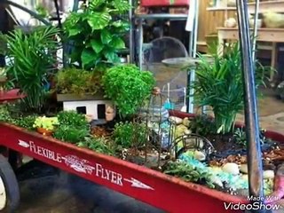 Beautiful house with a small garden