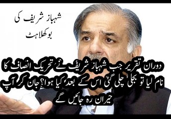 شہباز شریف کے تقریر کے دوران بجلی چلی گئی پھر کیا ہوا