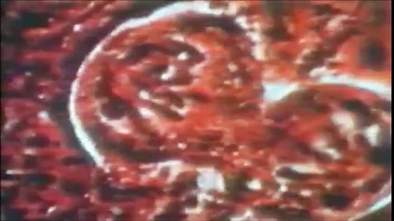 Sonda & Sonda 2 – czy ktoś pamięta pierwszą prowadzoną przez Zdzisława Kamińskiego i Andrzeja Kurka?