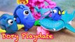 Baby DORY Playdate ❤ Disney Finding Dory Story with Nemo, Bailey, Destiny Kid & Hank DisneyCarToys