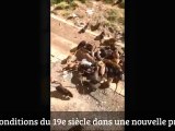 Ces détenus ont filmé des rats dans leur prison... Sequedin (France)
