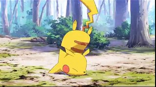 Pokémon Generations Episode 1_ The Adventure HD