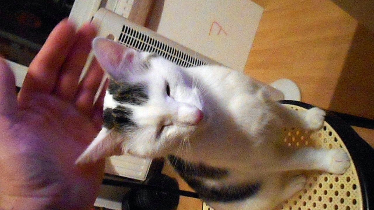 Vinzent am 22.10.2016