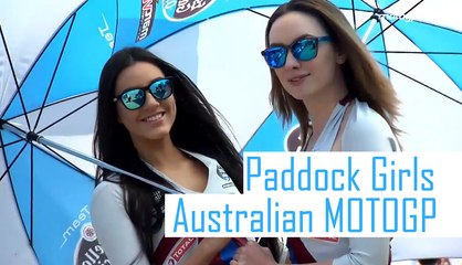 Paddock Girls Moto GP in Australian October 2016