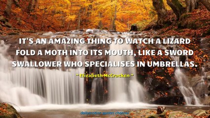 Elizabeth McCracken Quotes #2
