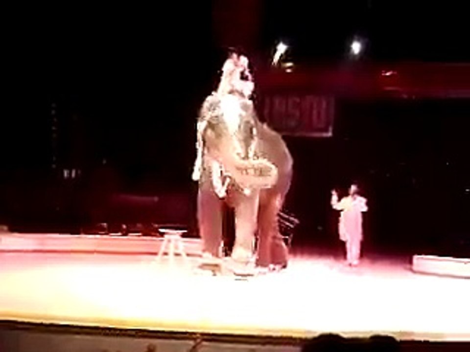 circus trick
