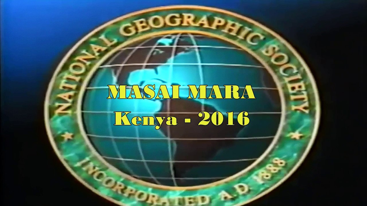 Masai Mara Game Reserve - Safari - Kenya June 2016