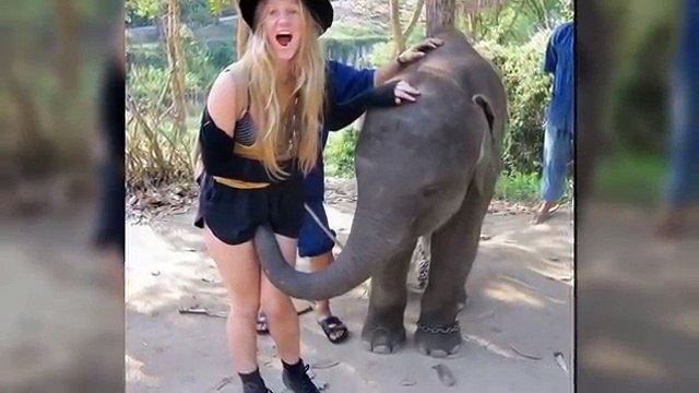 20 Funny Photos Taken At The Right Moment Time ★ Funny Videos 2016 Whatsapp ★ Embarrassing Moments