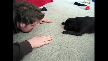 Effet miroir parfait entre un chien et son maitre! Synchro