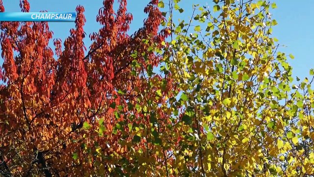 D!CI TV : les Alpes du Sud aux couleurs de l'automne