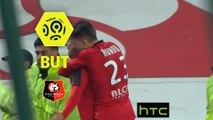 But Kamil GROSICKI (75ème) / FC Nantes - Stade Rennais FC - (1-2) - (FCN-SRFC) / 2016-17