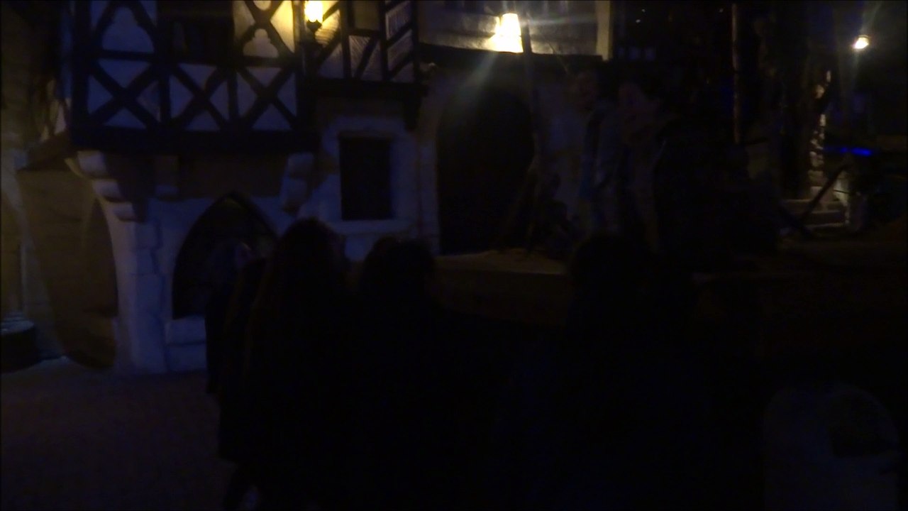 les filles, pour conclure leur journee au parc asterix