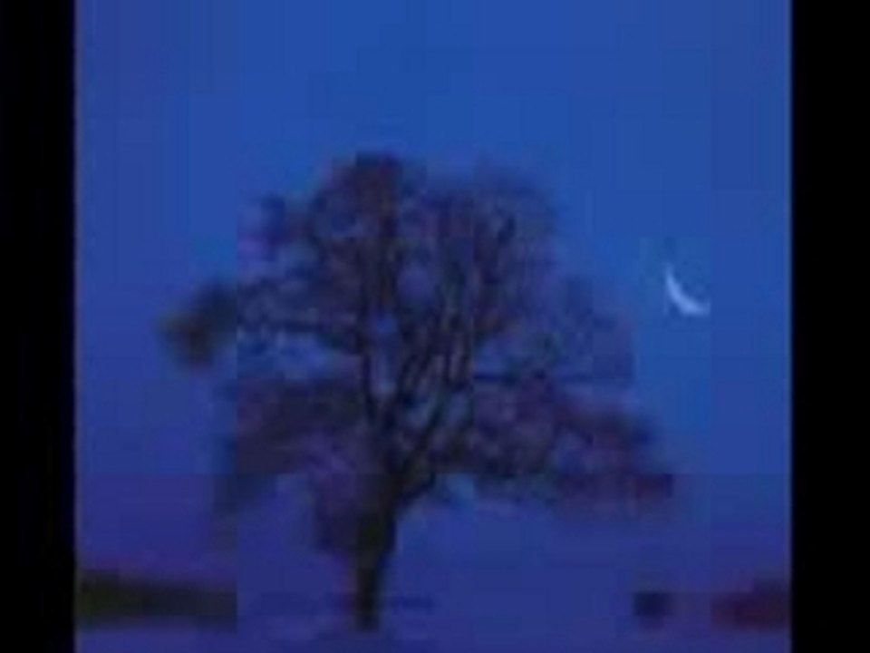 Broilers_-_nur_die_nacht_weiss.flv