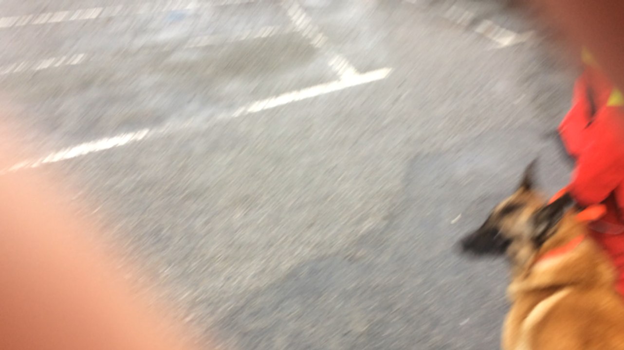 Congrès départemental des pompiers